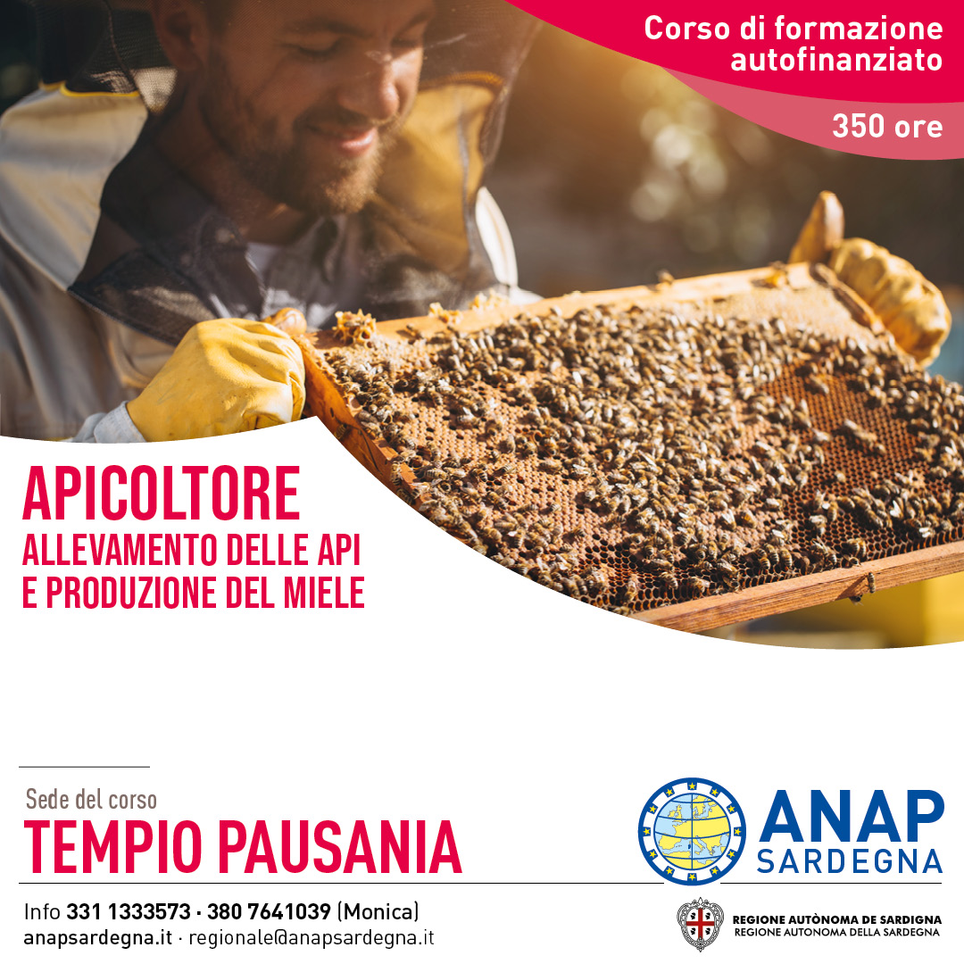 2023-08-23 Apicoltura, allevamento delle api e produzione del miele