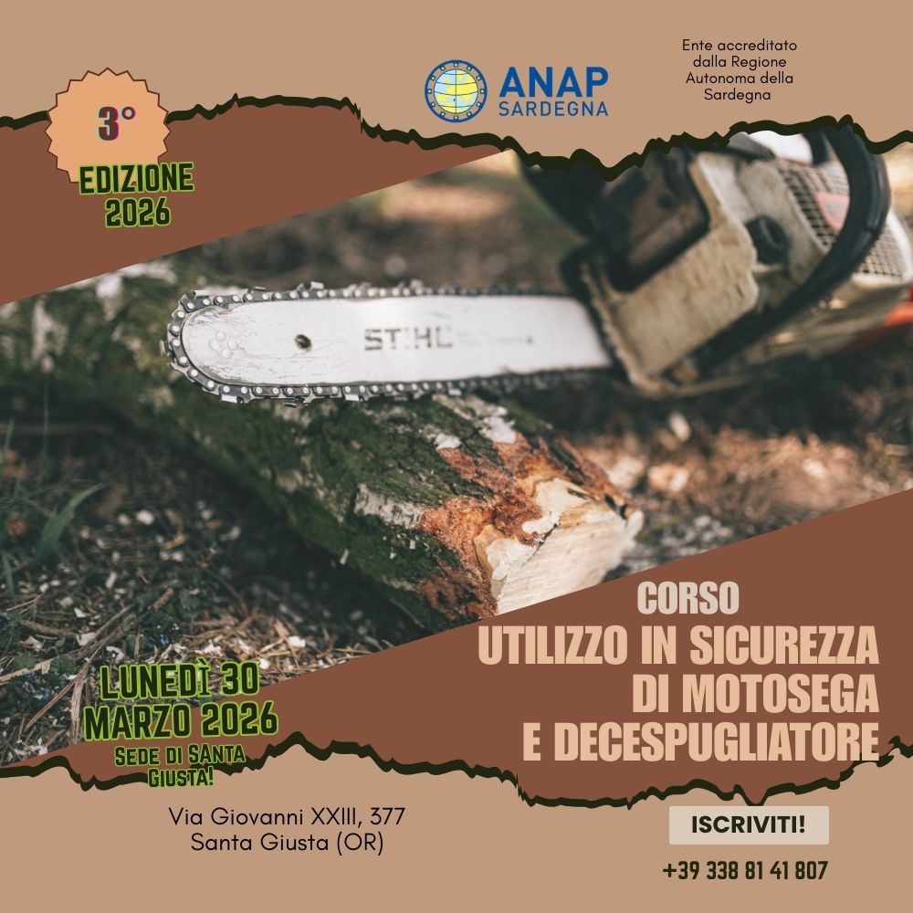 UTILIZZO IN SICUREZZA DELLA MOTOSEGA E DEL DECESPUGLIATORE