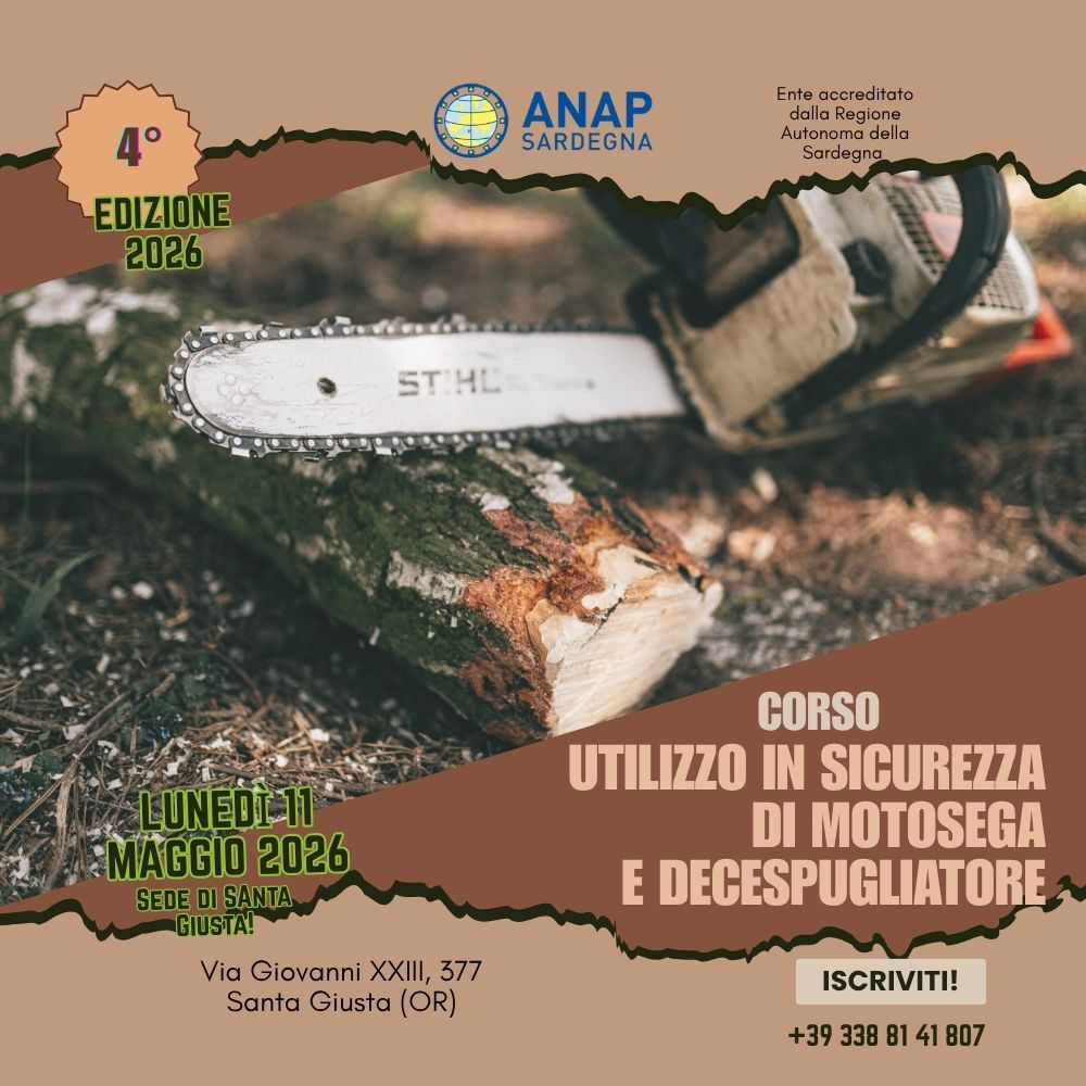 UTILIZZO IN SICUREZZA DELLA MOTOSEGA E DEL DECESPUGLIATORE