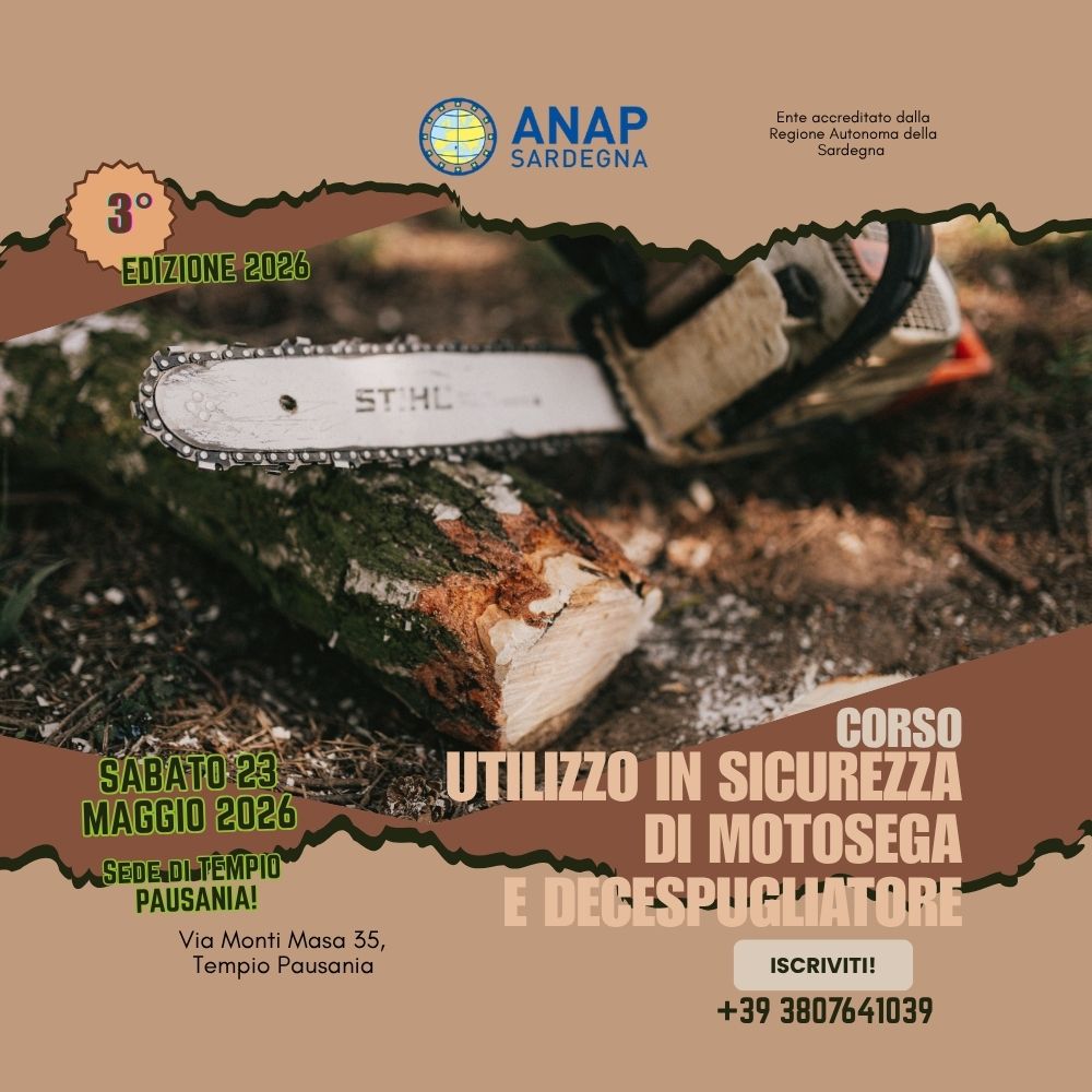 UTILIZZO IN SICUREZZA DELLA MOTOSEGA E DEL DECESPUGLIATORE